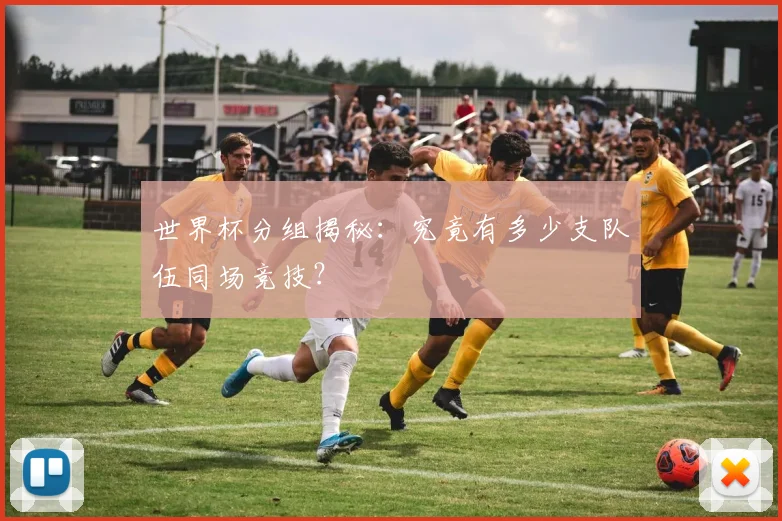 世界杯分组揭秘：究竟有多少支队伍同场竞技？