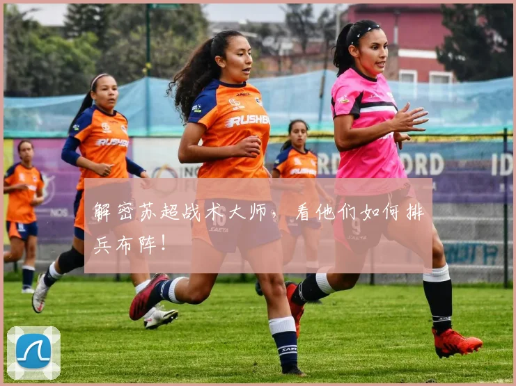 解密苏超战术大师,看他们如何排兵布阵!