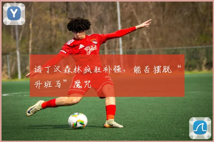 诺丁汉森林疯狂补强,能否摆脱“升班马”魔咒