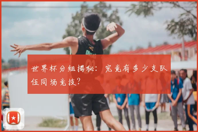世界杯分组揭秘:究竟有多少支队伍同场竞技?